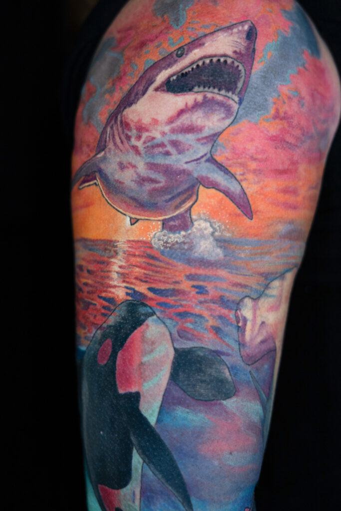 color realism tattoo of a color shark breaching water with a killer whale during sunset, done by a Houston tattoo artist