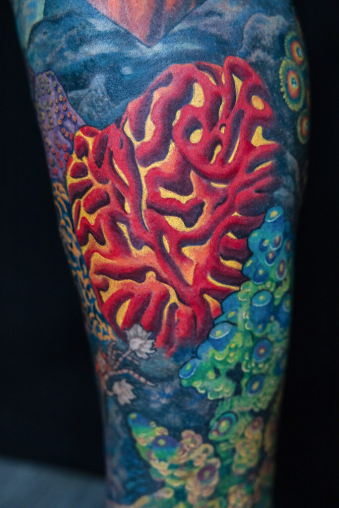 color realism tattoo of brain coral, super vibrant, smooth shading, high contrast, reds and yellows, done by Houston tattoo artist