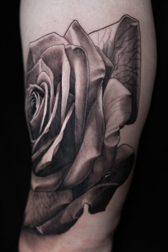 back view of a black and grey rose tattoo on an outer upper arm, large tattoo, very detailed smooth tattoo with veins in the rose, done by a Houston tattoo artist
